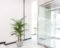 ケンチャヤシ 天井の高いスペースに多く設置されます。