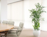 セフリジ 広いスペースに多く設置されます。