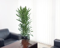 グローカル 狭いスペースに多く設置されます。