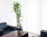 ストリクター 狭いスペースに多く設置されます。